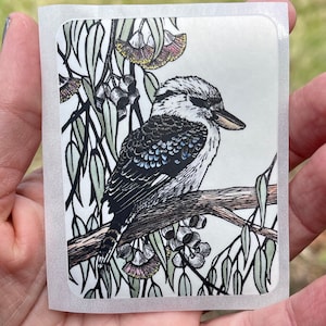 Kookaburra en una pegatina de vinilo Gum Tree de 3"