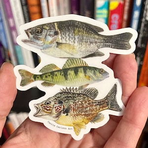 Autocollant vinyle aquarelle poisson des Grands Lacs