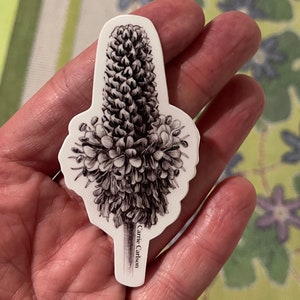 3" Dalea purpurea (trébol de la pradera púrpura) pluma y pegatina de vinilo de dibujo de tinta