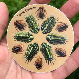 Sticker vinyle trilobite 3" d'après une illustration originale au crayon de couleur