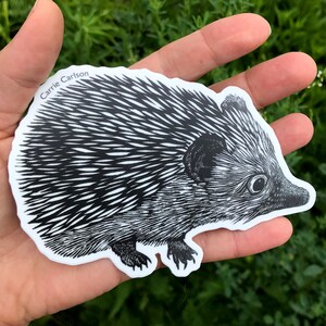 オリジナルのリノリウムブロックプリントから作られた 5 インチのハリネズミのビニールステッカー