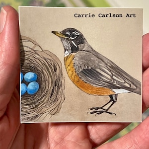 Pegatina de Robin americano de 2,5 pulg. (del dibujo original del cuaderno de bocetos)