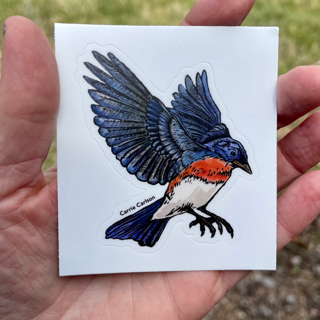 Bluebird 3