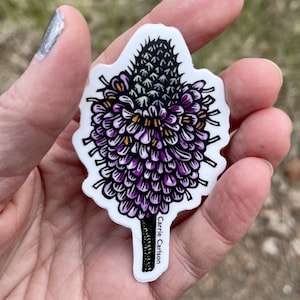 Adhesivo de vinilo de 3" con trébol de pradera morado