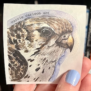 Naklejka winylowa z sokołem preriowym (z oryginalnej ilustracji wykonanej piórem, tuszem i akwarelą)