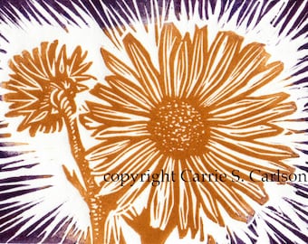 Compass Plant