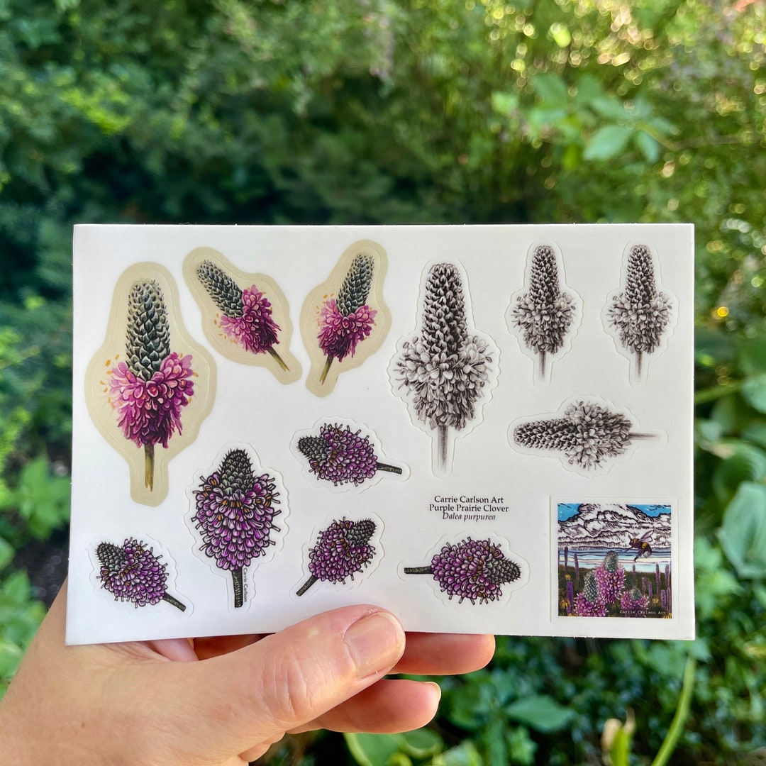 Prairie Clover Sticker Sheet - Etsy