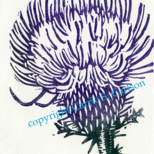Thistle
