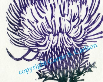 Thistle