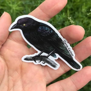 Amsel 3"Vinyl Aufkleber von original handgemalter Aquatintaradierung