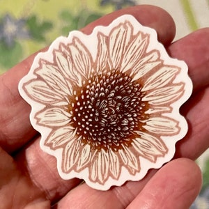 Adesivo in vinile Echinacea in rosa (vista dall’alto).