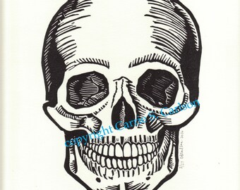 Human Skull