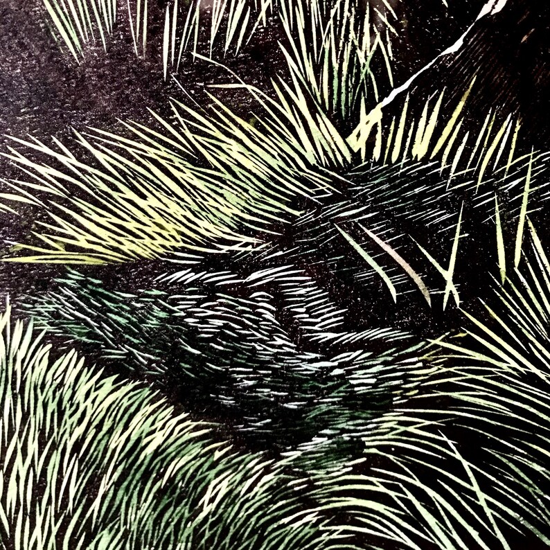May include: A close-up of a black and white woodcut print of a bird in a nest of tall grass. The bird is partially hidden by the grass, but its feathers are visible.