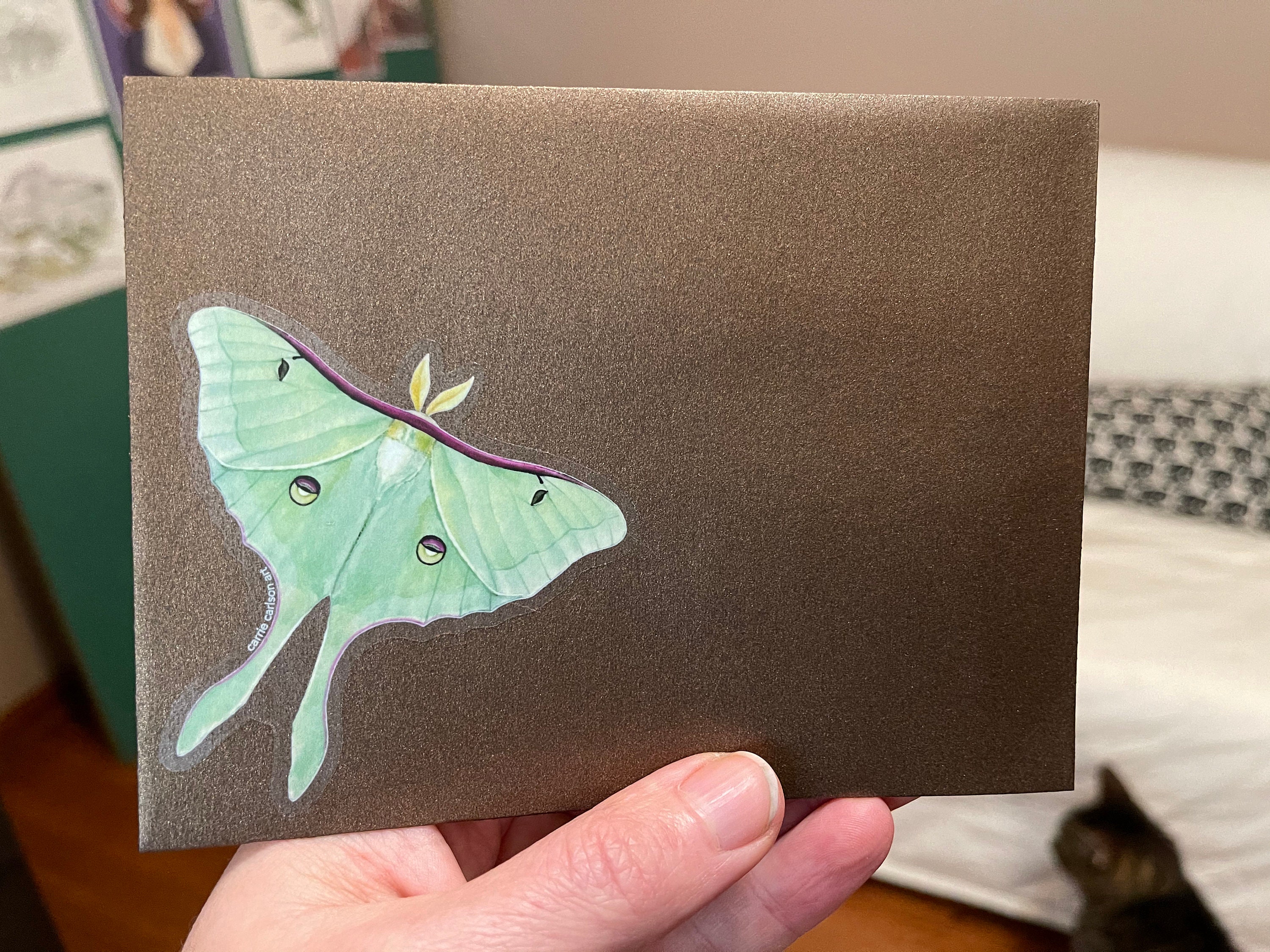 3 Luna Moth Transparent Vinyl Sticker from Original Watercolor - Etsy