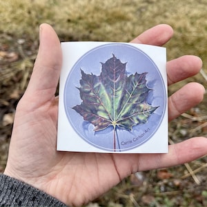 3" Maple Leaf Vinyl Sticker (van originele kleurpotloodtekening)