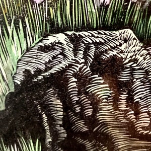 May include: A close-up of a black and white woodcut print of a textured surface. The surface is covered in a pattern of lines and curves, creating a sense of depth and texture. The print is reminiscent of a natural landscape, with the lines resembling grass or leaves.
