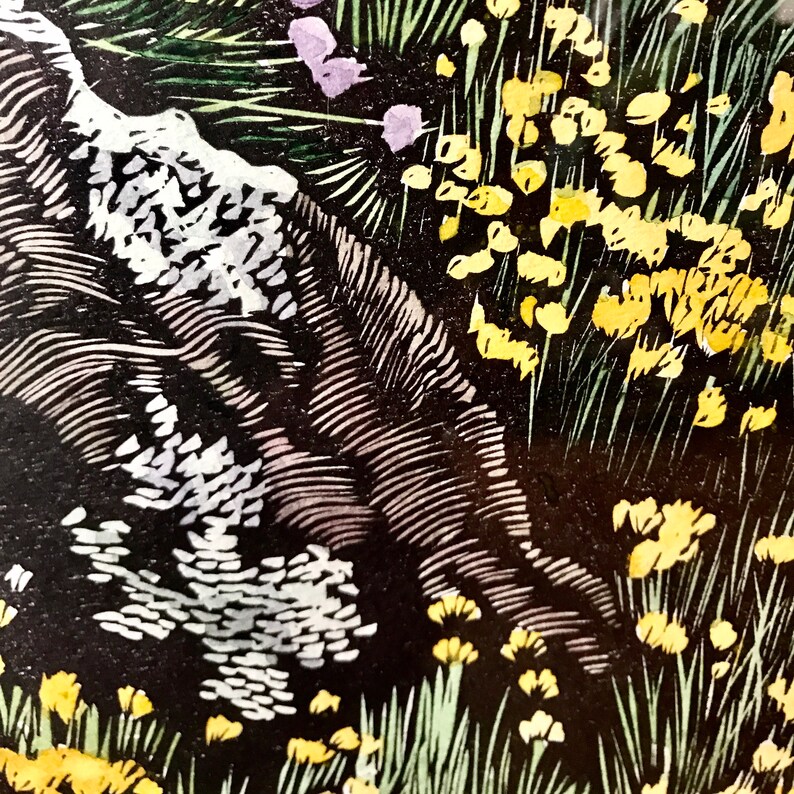 May include: A close-up of a black and white woodblock print depicting a rocky landscape with yellow flowers and green foliage.