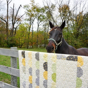 May include: A handmade quilt with a pattern of half-circles in yellow, gray, and green, draped over a wooden fence. A dark brown horse with a light blue halter peeks over the fence in a rural setting with trees.