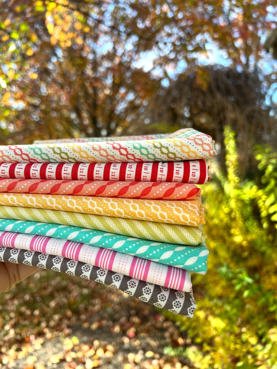 Just the Stripes Coriander Quilts Corey Yoder 8 Piece Fat Etsy