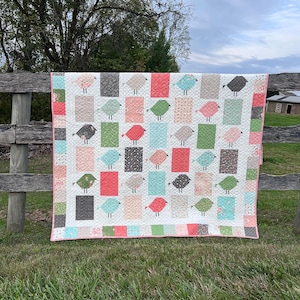 May include: A colorful quilt featuring a repeating pattern of stylized birds in various colors, including red, green, and gray, set against a white background. The quilt is bordered with a pink trim and is displayed outdoors on a wooden fence.