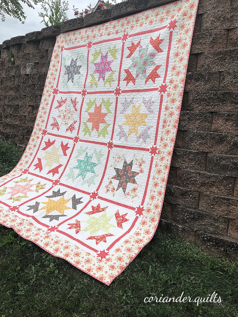 Coriander Quilts 5 Piece PDF Pattern Bundle 6 canning Day Etsy