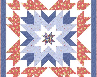 Barn Star 12 pdf/digitaal quiltpatroon #240