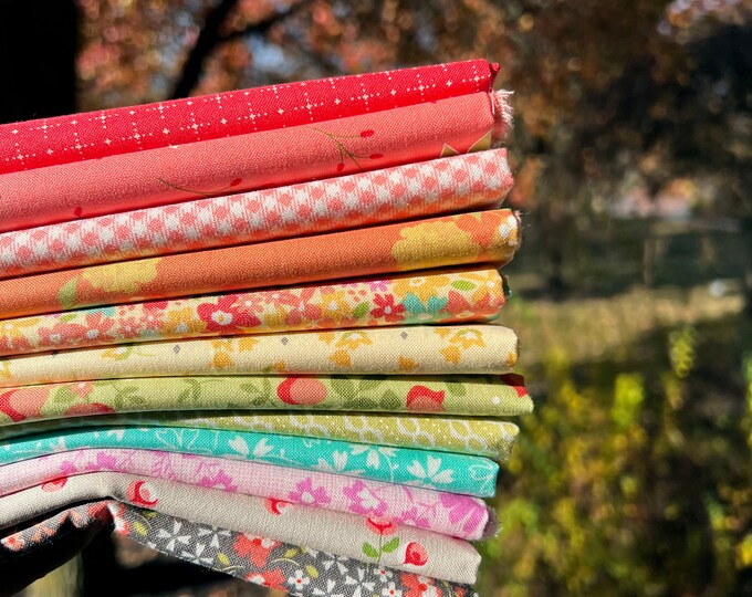 Rainbow Coriander Quilts Corey Yoder 12 Piece Fat Quarter Bundle Etsy