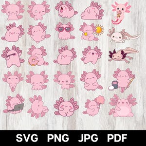 Axolotl SVG Bundle | Axolotl svg | Axolotl Shirt SVG, Axolotl Clipart, Sticker & Party Designs