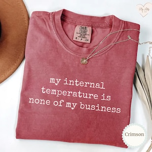 May include: A crimson short-sleeved t-shirt with a crew neckline and a Comfort Colors brand label. The shirt features the white printed text: my internal temperature is none of my business. A thin gold-toned chain necklace rests on the fabric.