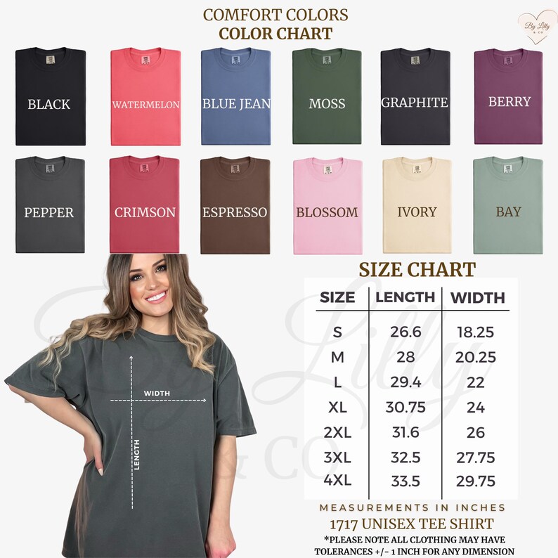 May include: A weathered wooden sign displaying the word "Welcome" in white. The sign has a distressed appearance, suggesting a vintage aesthetic, and is suitable for a porch or hallway.