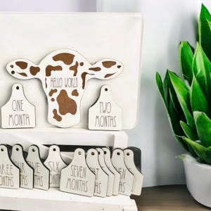 Personalized Cow Head Birth Stat Sign: Baby Name Announcement, Nursery Decor