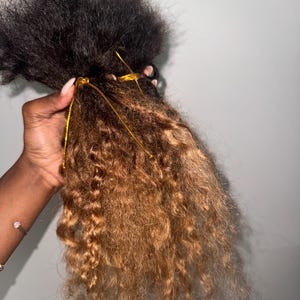 Boho Ombre Loc Extensions – Human Hair, Curly Ends, Handmade, Permanent & Temporary