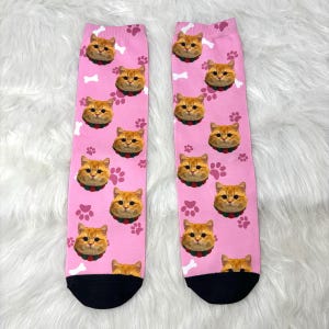 May include: A pair of pink socks with a repeating pattern of orange cat faces wearing green and red collars. The socks also feature white bone and paw print designs. The toe and heel are black.