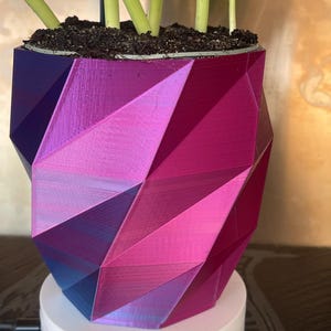 May include: A geometric, pink, purple, and blue planter with a plant growing out of it. The planter is made of a 3D printed material and has a shiny, iridescent finish.