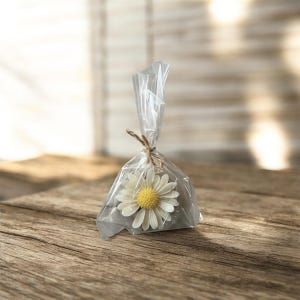 Può includere: Un fiore di margherita bianca con centro giallo è racchiuso in un sacchetto di cellophane trasparente, legato con spago. Il fiore è posto su una base grigia. Lo sfondo è una superficie di legno.