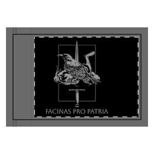Sword & Raven Double-Sided Flag