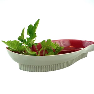 May include: A white ceramic serving dish with a red interior and a ribbed edge. The dish is filled with green leafy plants.