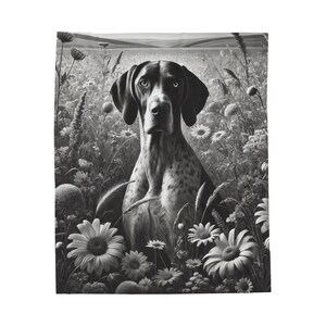 Könnte beinhalten: Ein Schwarzweißfoto eines Deutsch Kurzhaar-Hundes, der in einem Feld mit Wildblumen sitzt. Der Hund schaut direkt in die Kamera.