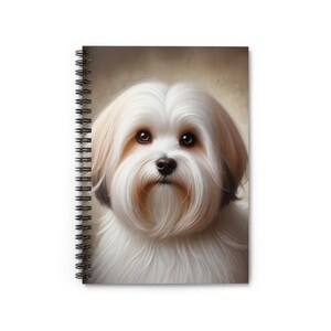 May include: A close-up portrait of a white and cream coloured dog with brown eyes. The dog has fluffy fur and is looking directly at the camera.