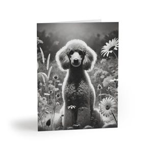 Lot de 8 cartes de voeux artistiques fleurs noir et blanc caniche chien - beau sentiment personnalisable pour animal de compagnie, cadeau pour amoureux des chiens, merci, sympathie, vacances