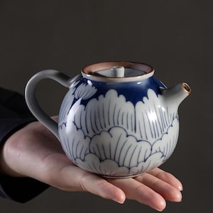 May include: A round ceramic teapot with a blue and white floral design. The teapot has a curved handle, a small spout, and a lid. The rim of the lid is brown. The teapot is held in a hand.