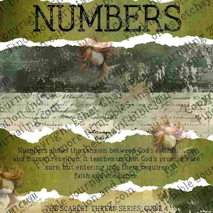 May include: A digital art print with the word "NUMBERS" in a bold, black font, set against a textured background of layered paper and script. The design incorporates torn paper elements and vintage-style illustrations.