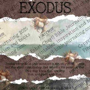 May include: A digital print featuring the word "EXODUS" in a distressed font, set against a backdrop of torn paper strips. The design incorporates watercolor-style illustrations and text from the Bible.