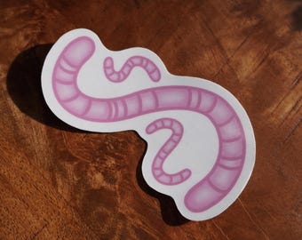 Big Pink Worm Sticker