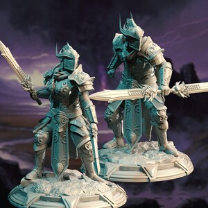 Elven Royal Guard Warriors Male Female Duet 32mm Scale - High Elf Soldiers by DM Stash
