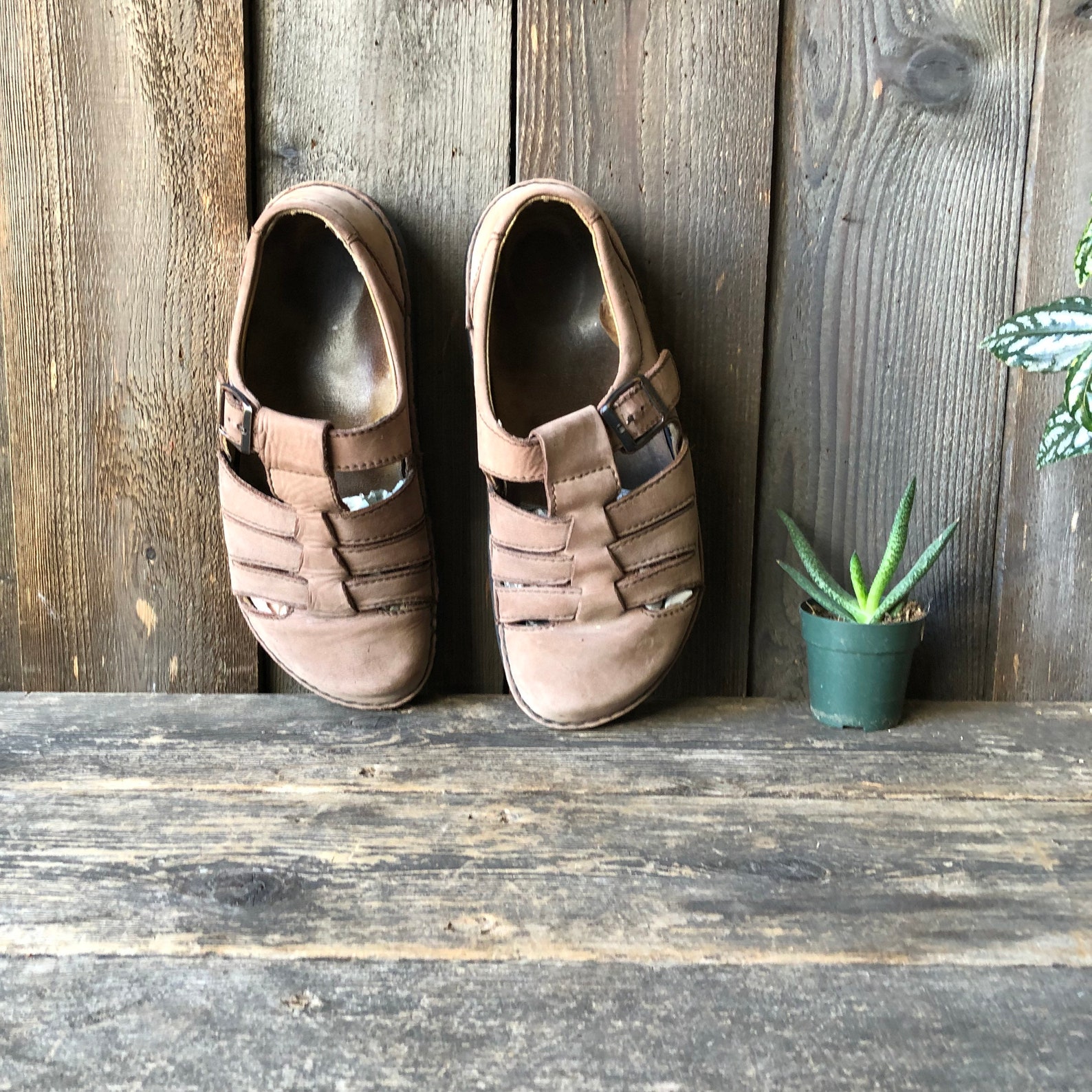 the bay planet earth shoes