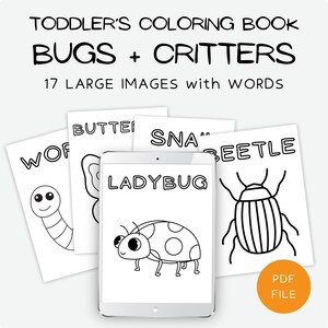 Toddler's coloring book with bugs and critters. 17 large image coloring pages with big words to color. Shown are coloring sheets for ladybug, worm, butterfly, snake, beetle, and ladybug.