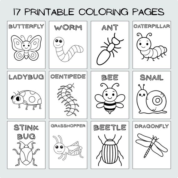 Learning Insect Bug Toddler Preschool Worksheet Coloring Book Toddler Travel Activity Screen Free Fun Learning Coloring Sheet Cute Critter