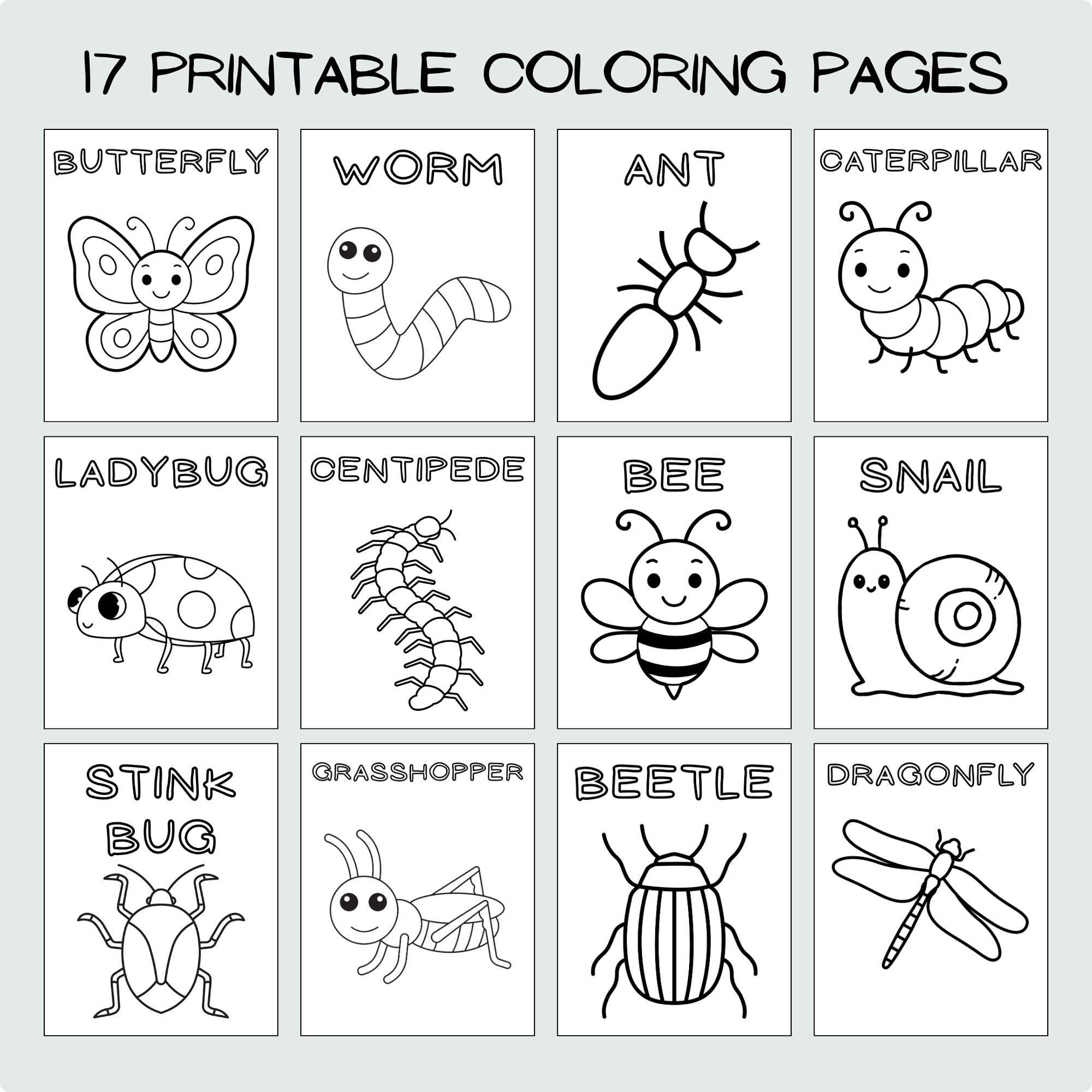 Tiddle Insect Learning Insect Bug Toddler Preschool Worksheet Coloring Book Toddler ...