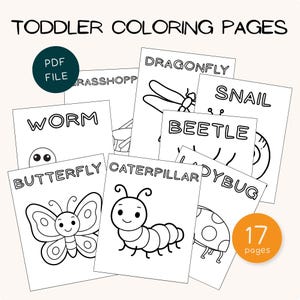 Toddler Preschool Worksheet Coloring Book for Screen Free Fun with Butterfly, Caterpillar, Worm, Beetle, Snail, Dragonfly, Grasshopper, and More